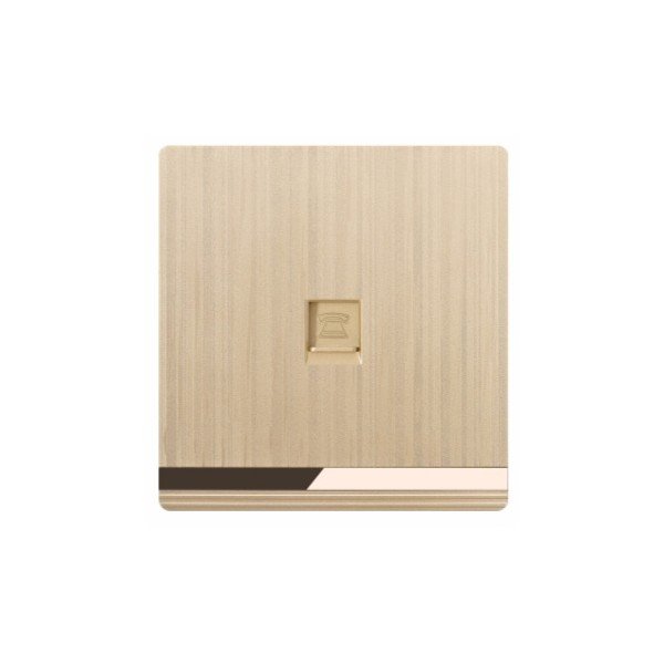 DATA SOCKET-CHAMPAIGN GOLDEN SERIES