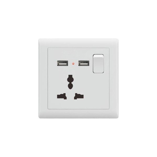 1 GANG MULTI SOCKET & 2 USB