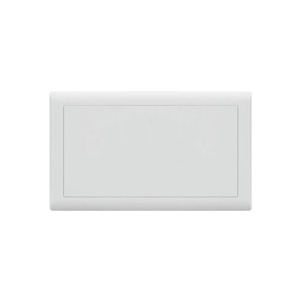BLANK PLATE 3x6