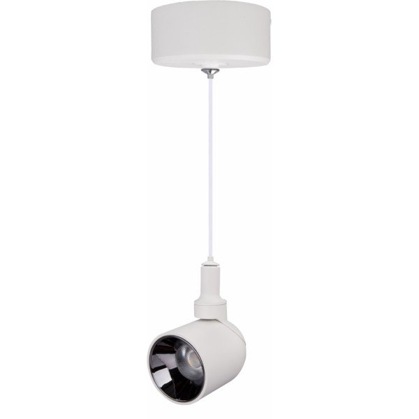 LED PENDANT SPOTLIGHT-10WATTS-WHITE BODY-WHITE