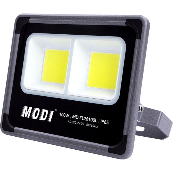 COB LED Flood Light 100Watt White