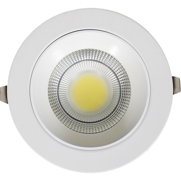 COB LED Down Light - 24W - White