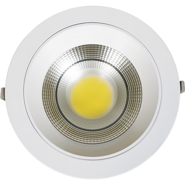 COB LED Down Light - 30W - White