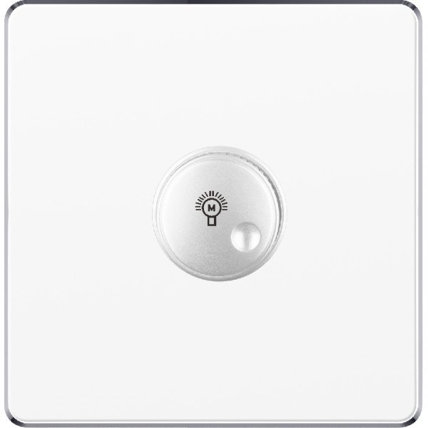 LIGHT DIMMER SWITCH - WHITE